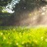 Golden sunlight hitting a fine mist of water as it feeds a green spring lawn.