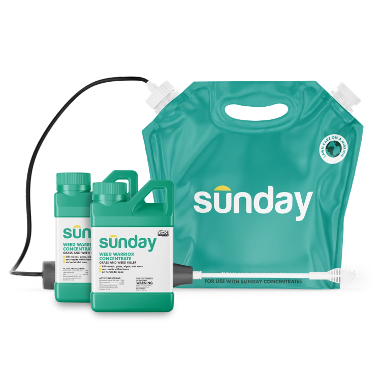 Weed Warrior weed control concentrate 27 oz and 1 gallon sprayer