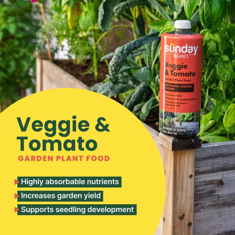 Veggie & Tomato Benefits