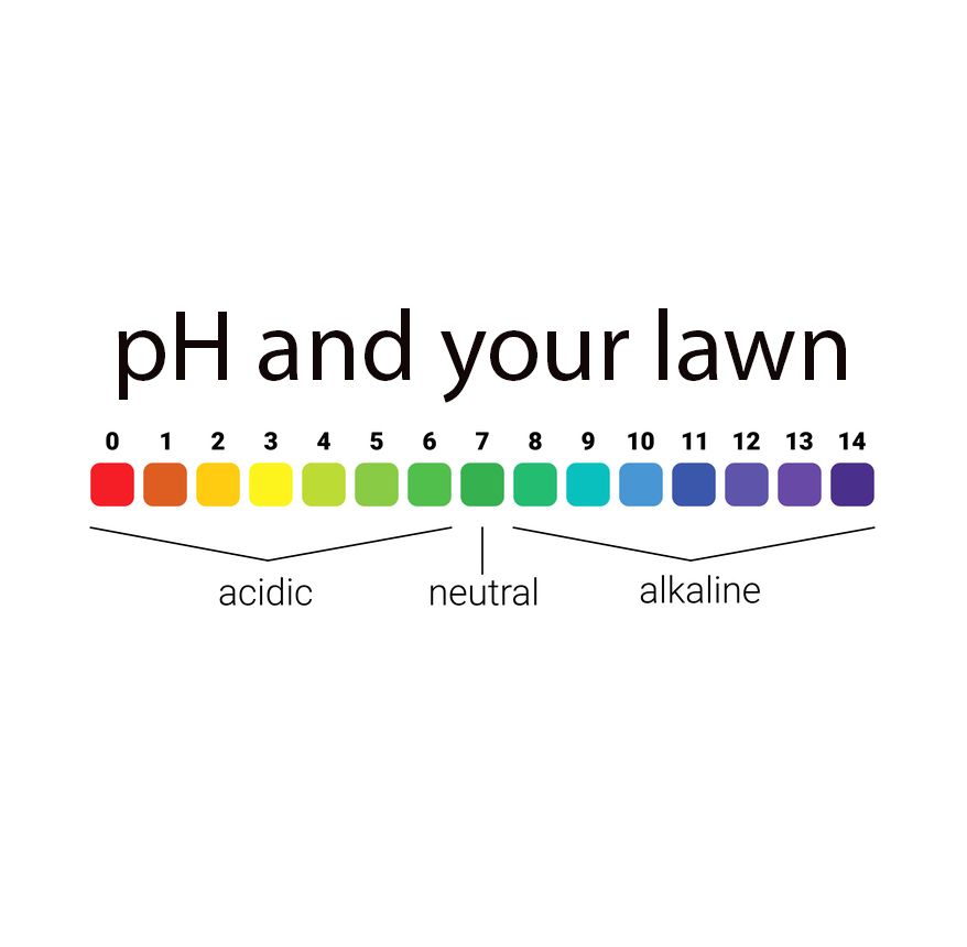 pH scale