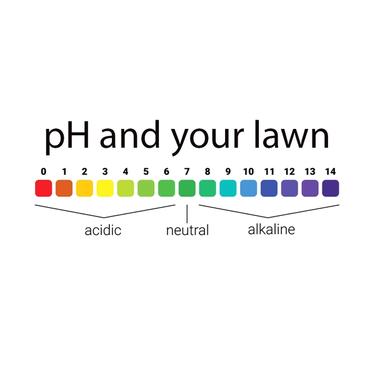 soil ph chart for your lawn