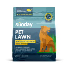 Pet Lawn Grass Seed
