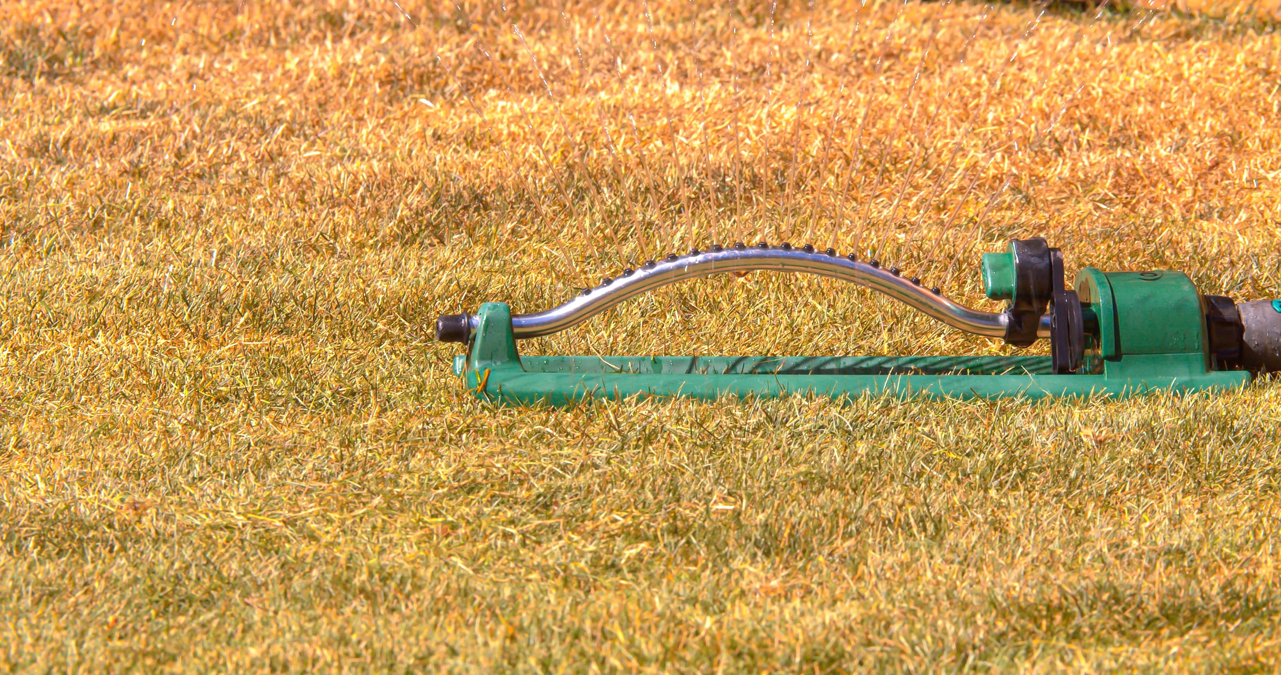 Oscillating lawn sprinkler spraying water across a dry, yellowed patch of grass.