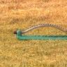 Oscillating lawn sprinkler spraying water across a dry, yellowed patch of grass.