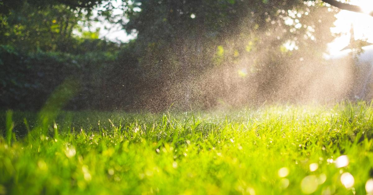 Sunday Spring Seeding Guide Sunday Lawn Care