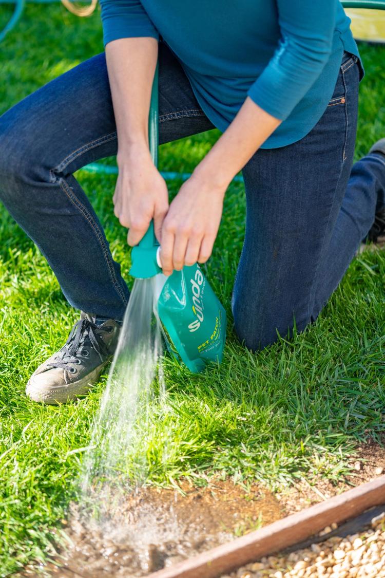 Pet Patch Lawn Repair Sprayer