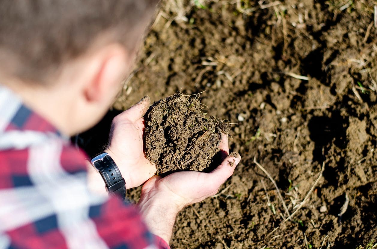 Person in a red flannel shirt holding a handful of dark, loamy soil to feel its gritty texture.