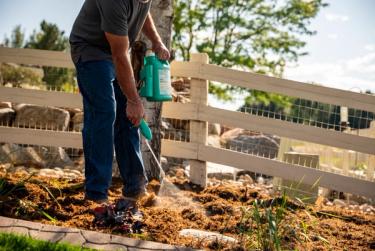 Man applying Weed Warrior to weeds in mulched areas of yard