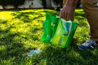 Applying Bare Repair Sun & Shade to lawn