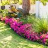 A beautiful Southeast garden