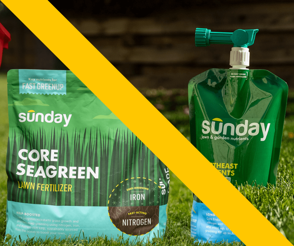 Sunday liquid vs granular fertilizer 