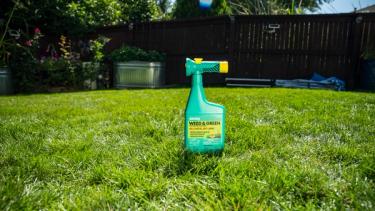Weed & Green sitting on dry green lawn