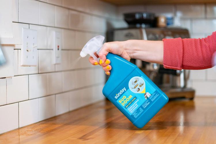 Bug Doom Indoor Application Kitchen