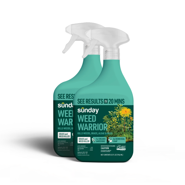 Weed Warrior ready-to-use weed control spray bottles