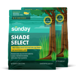 Bag of Sunday Shade Select, a fescue, ryegrass, bluegrass seed blend