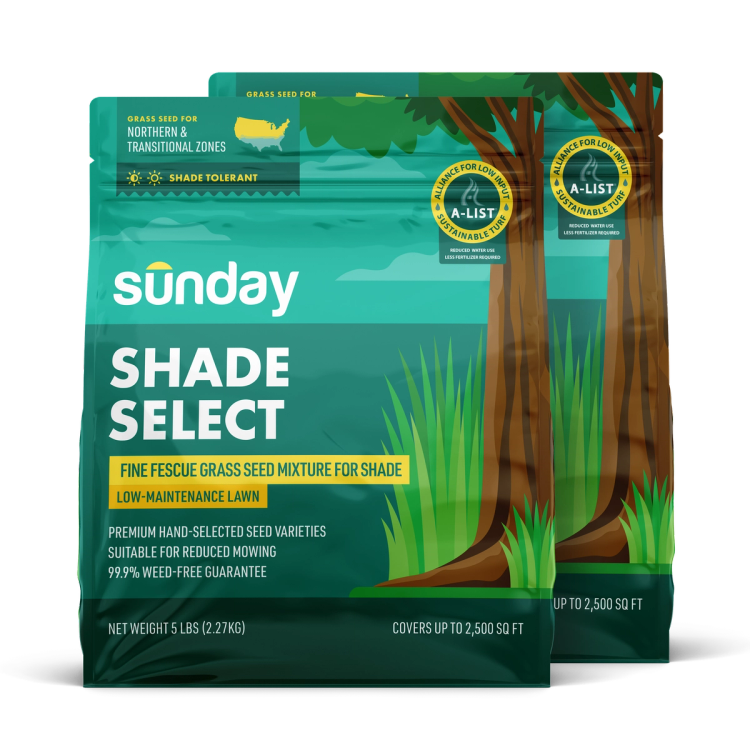 Bag of Sunday Shade Select, a fescue, ryegrass, bluegrass seed blend