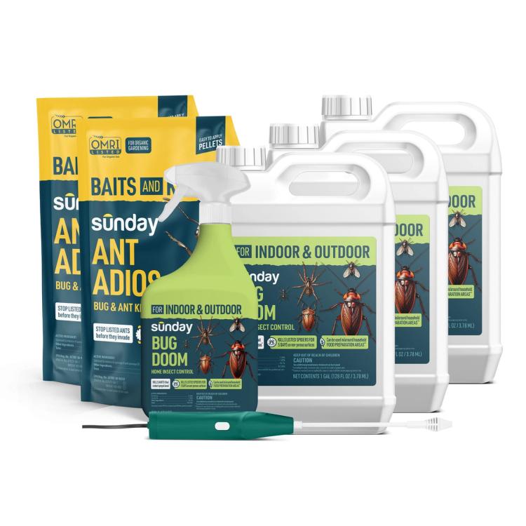 Bug Doom Insect Control Indoor & Outdoor