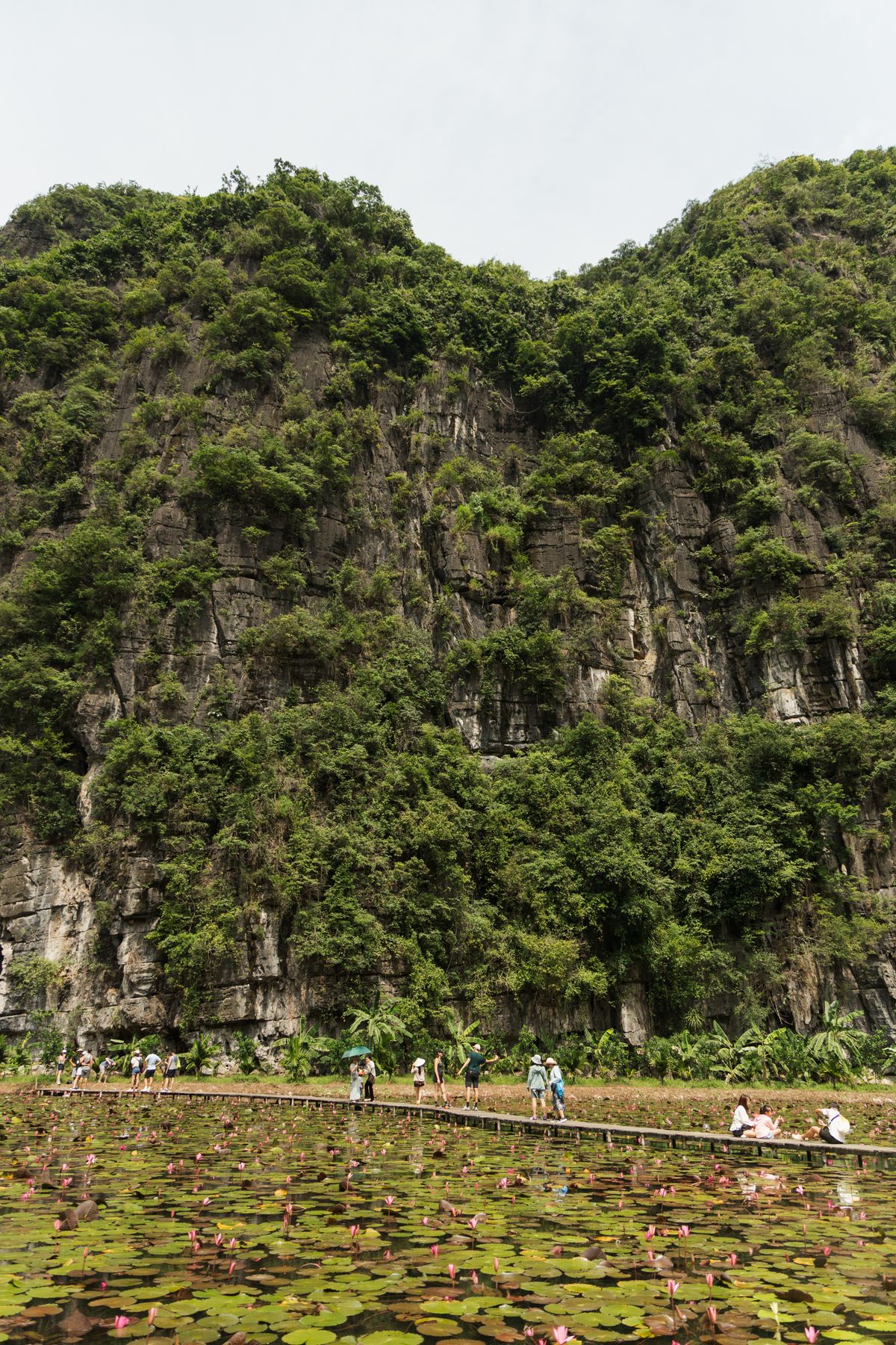 Ninh Binh, Vietnam — ninhbinh
