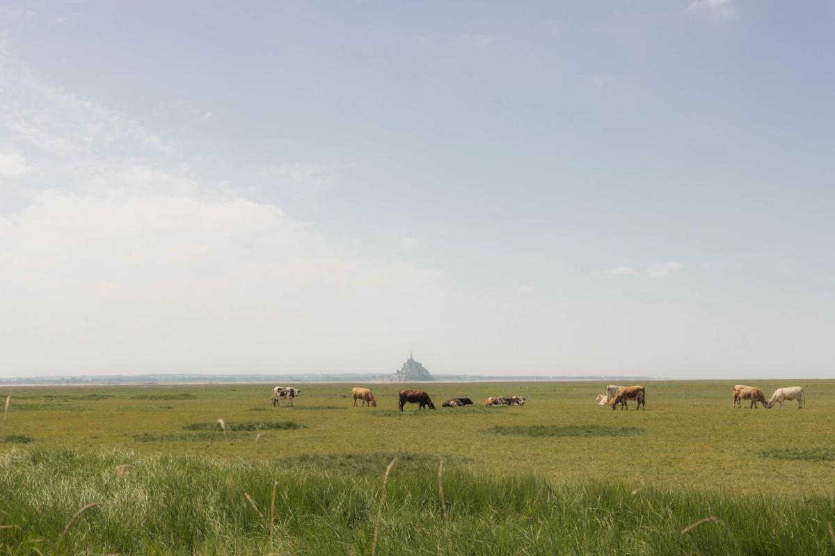 Mont Saint-Michel, France — montsaintmichel