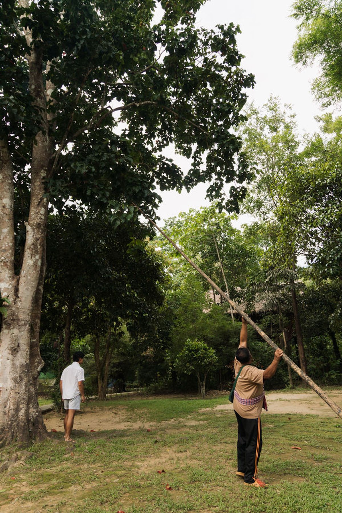 Khao Sok, Thailand — khaosokjunglecamp