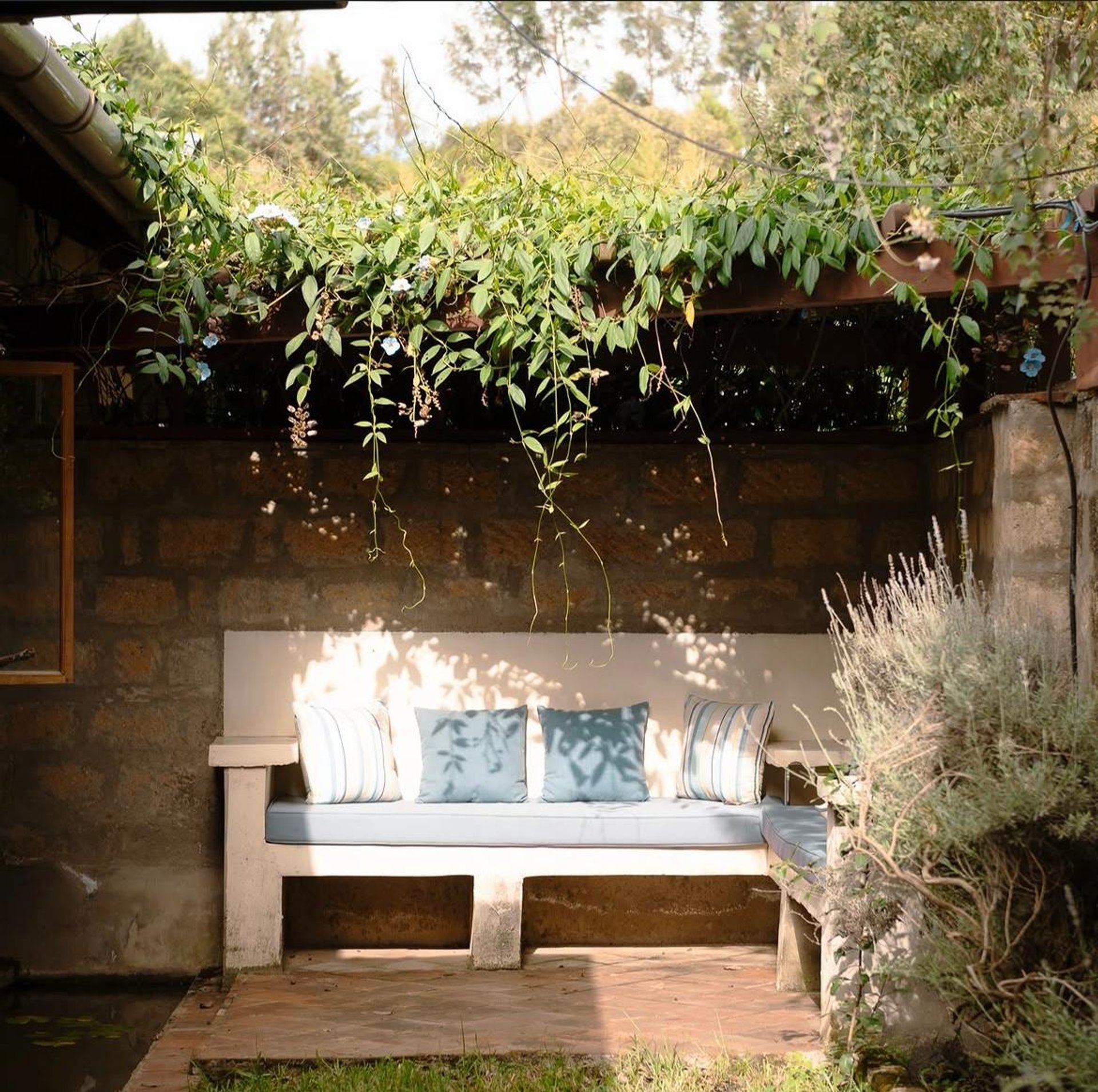 Lavender suite — Nanyuki, Kenya