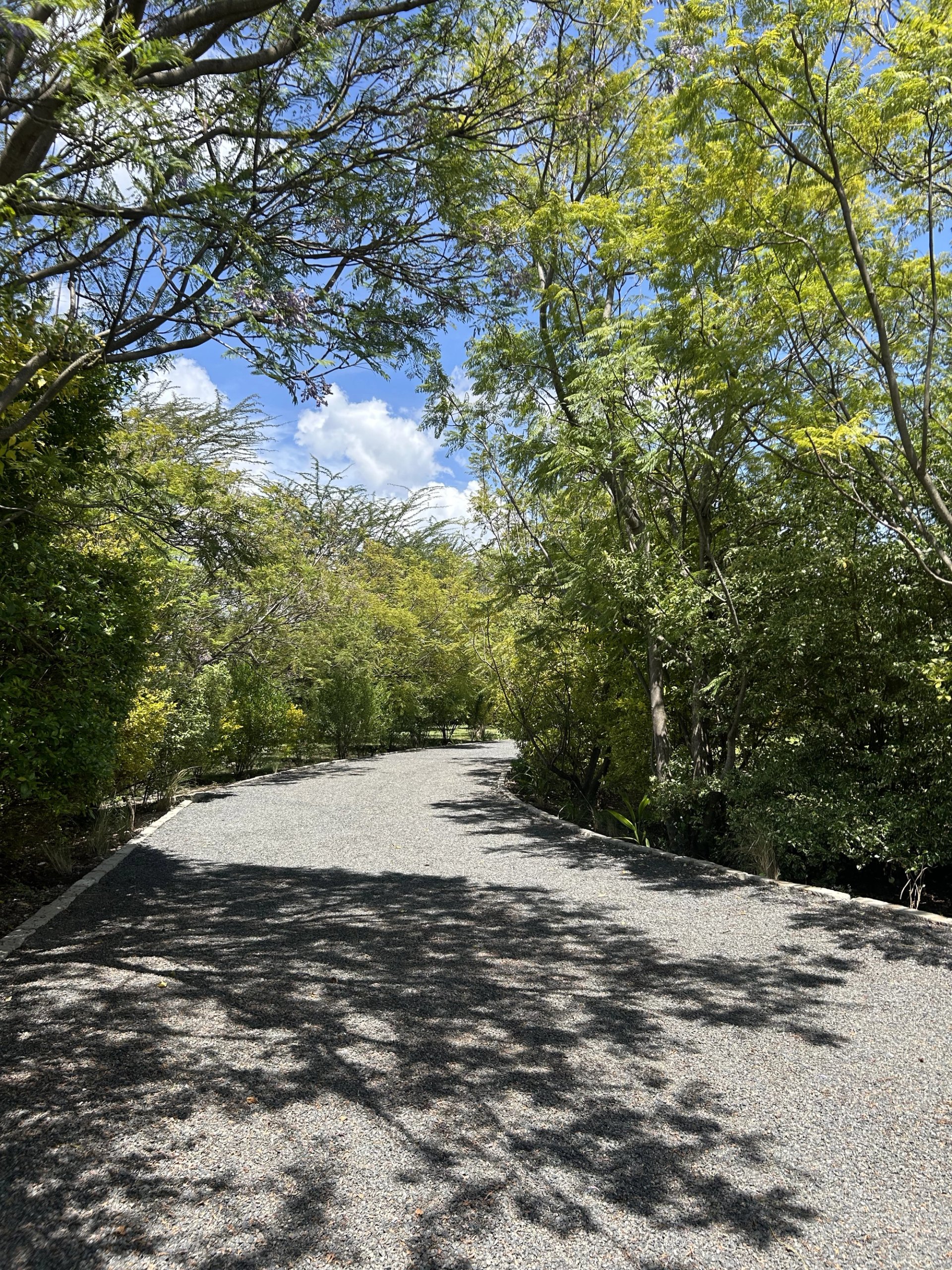 Wild Fig Manor — Nanyuki, Kenya