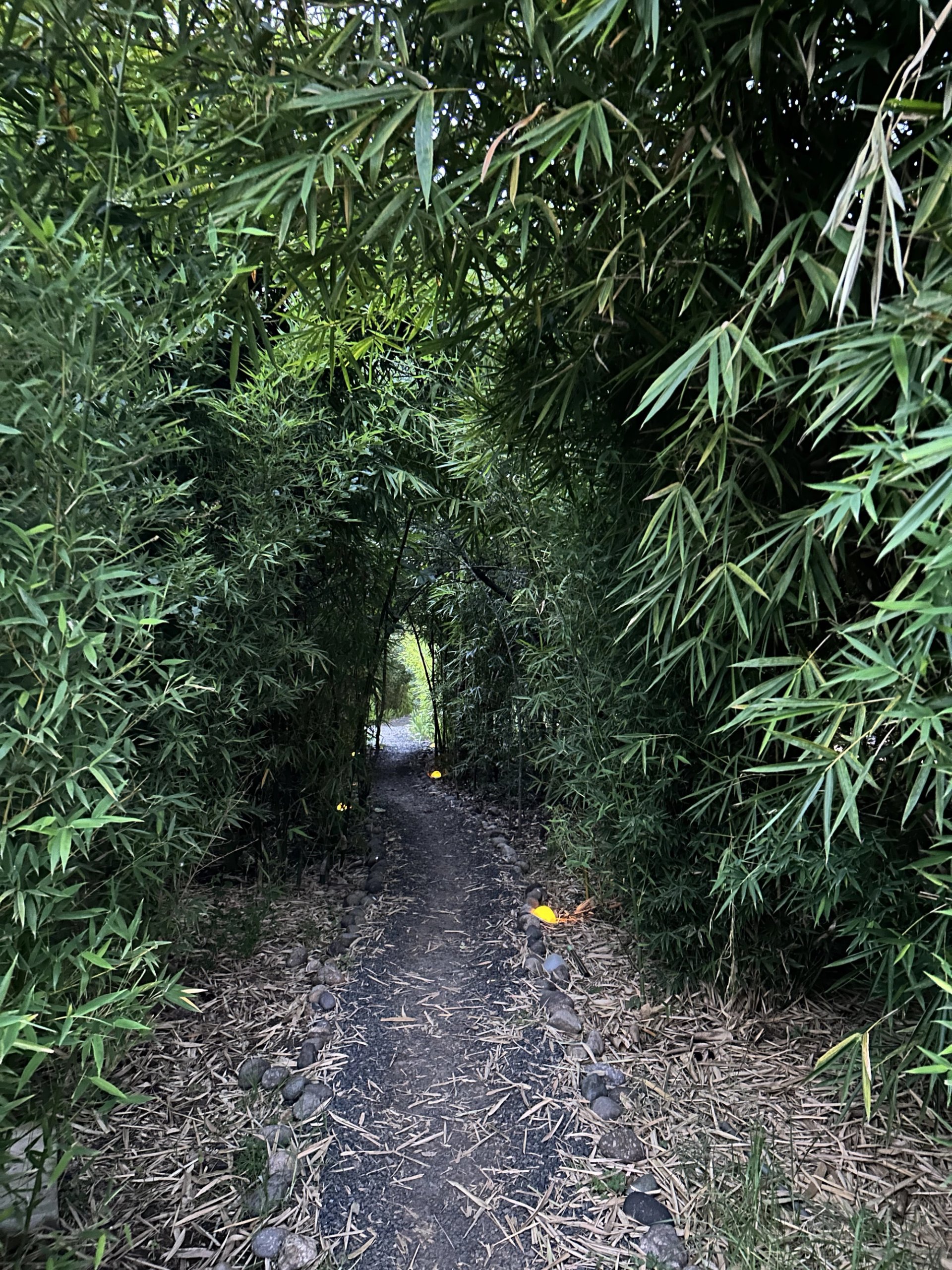 Sunrise villa — Nanyuki, Kenya