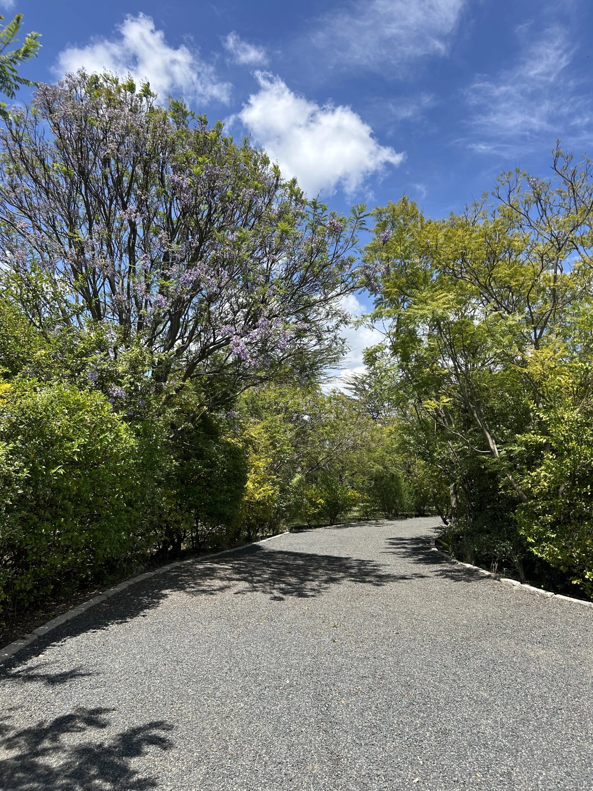 Wild Fig Manor — Nanyuki, Kenya