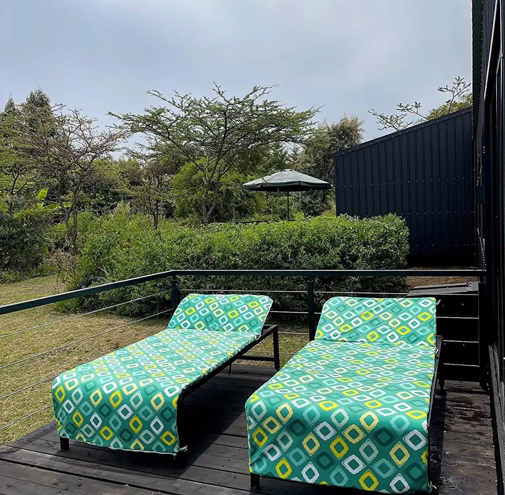 Weaver 1 — Naivasha, Kenya