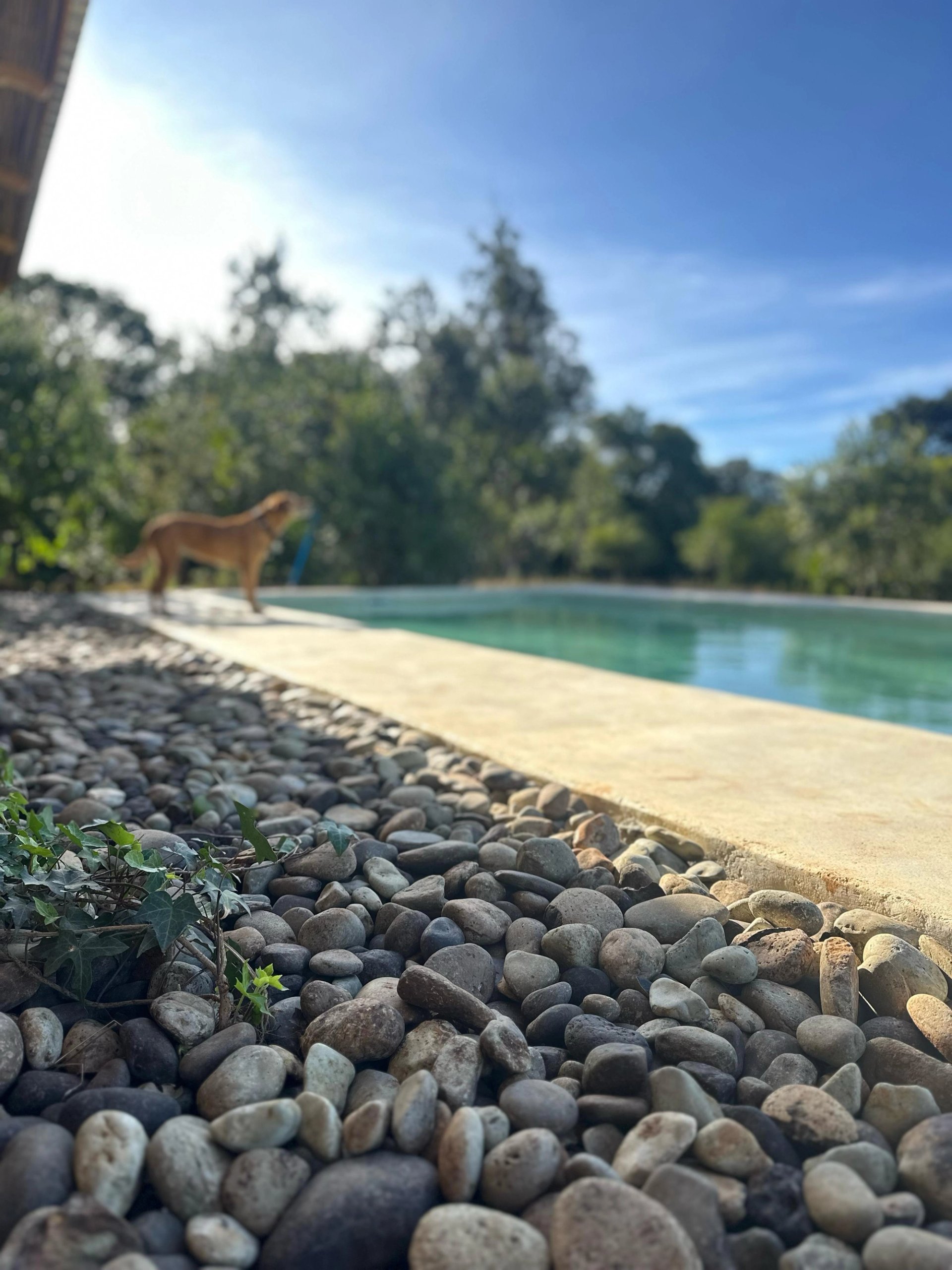 River Run House — Nanyuki, Kenya