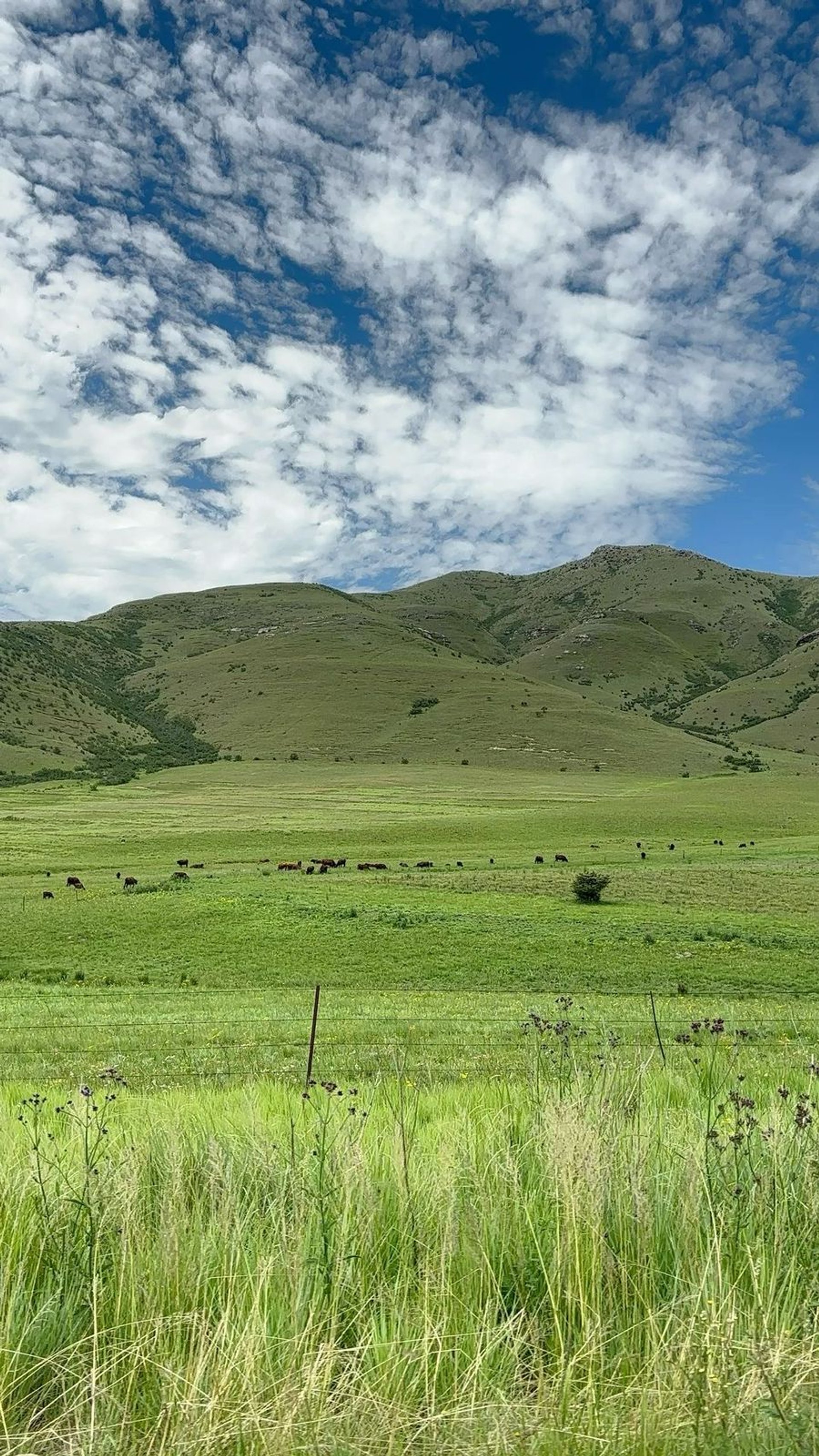 Amboseli luxury short-stay properties — LAI Group KE