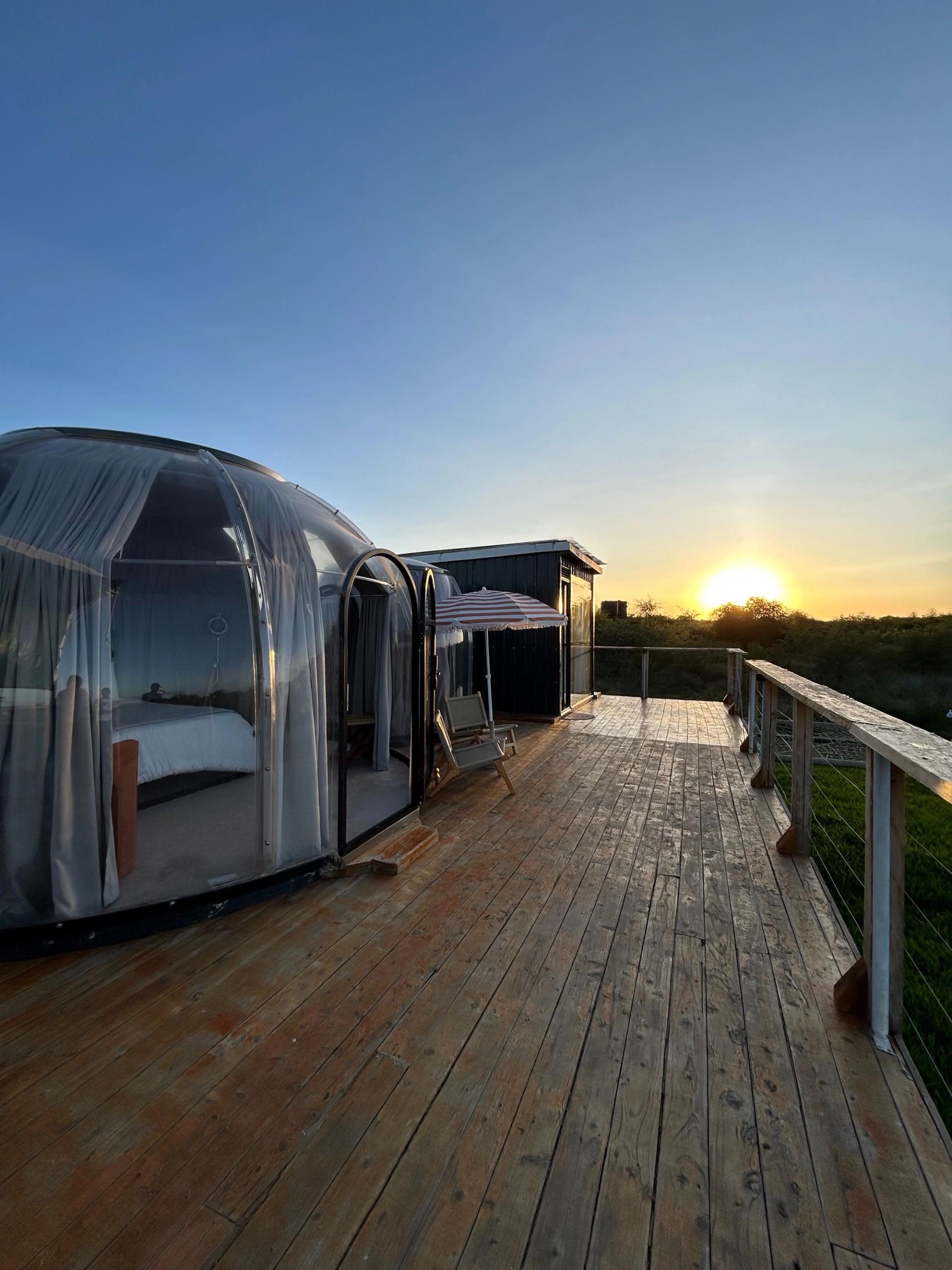 Nanare dome — luxury forest escape in Amboseli, Kenya