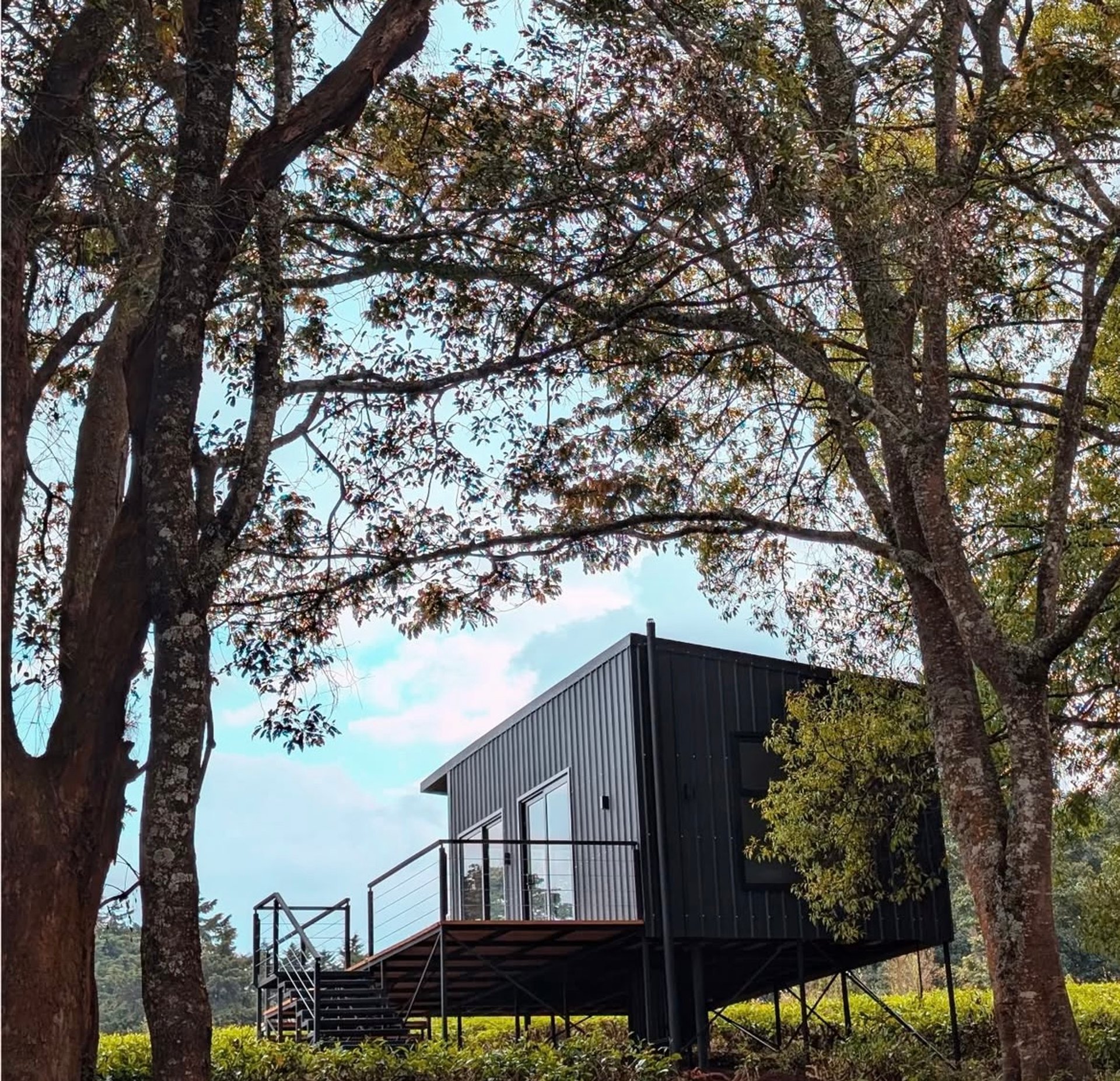 Tea Pods Tigoni — luxury Luxury Estate in Tigoni, Kenya