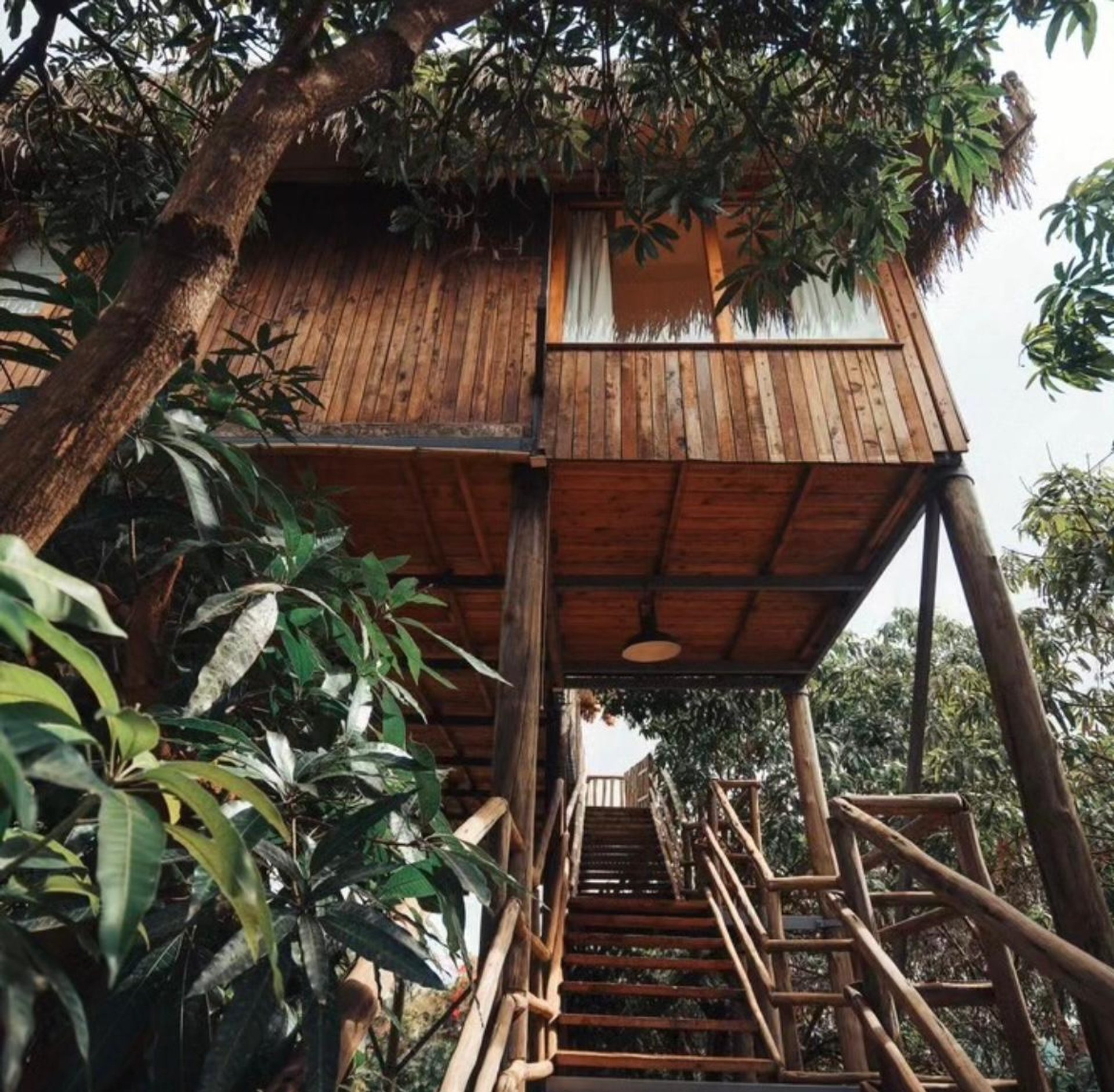 Eco treehouse — Murang'a, Kenya