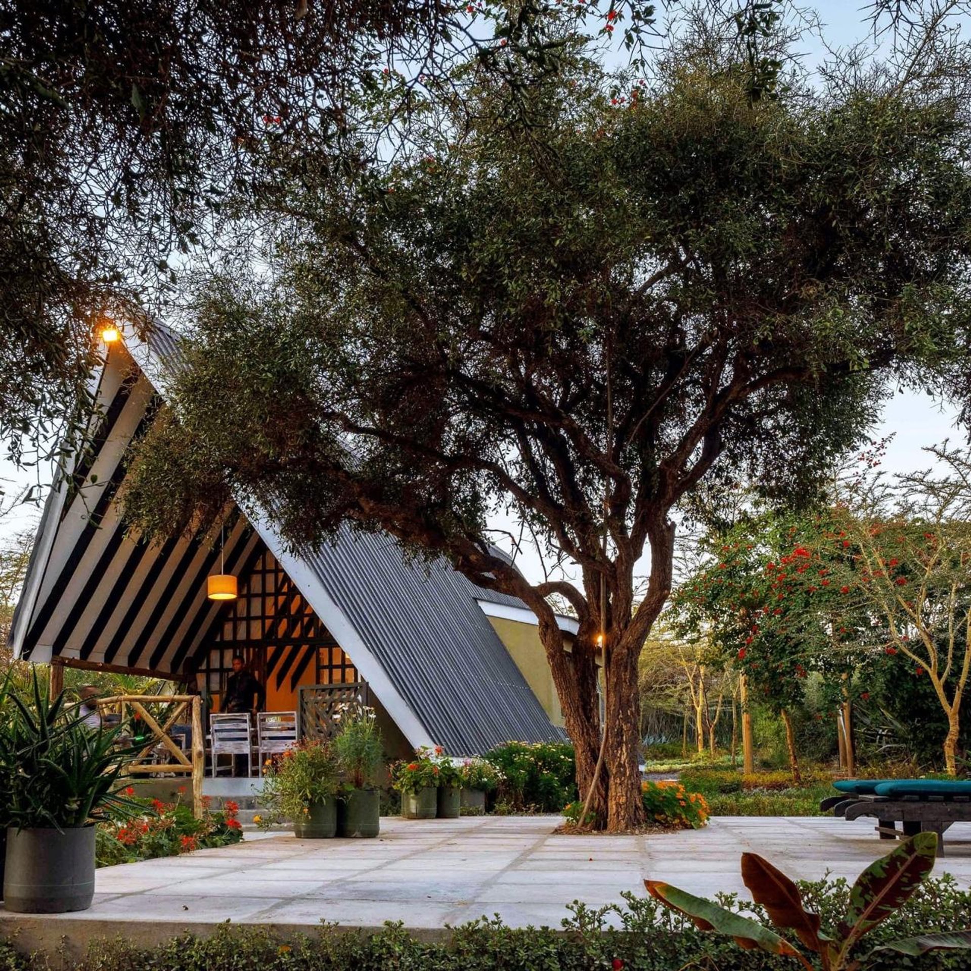 Nosisi's A frame — luxury Forest Escape in Machakos, Kenya