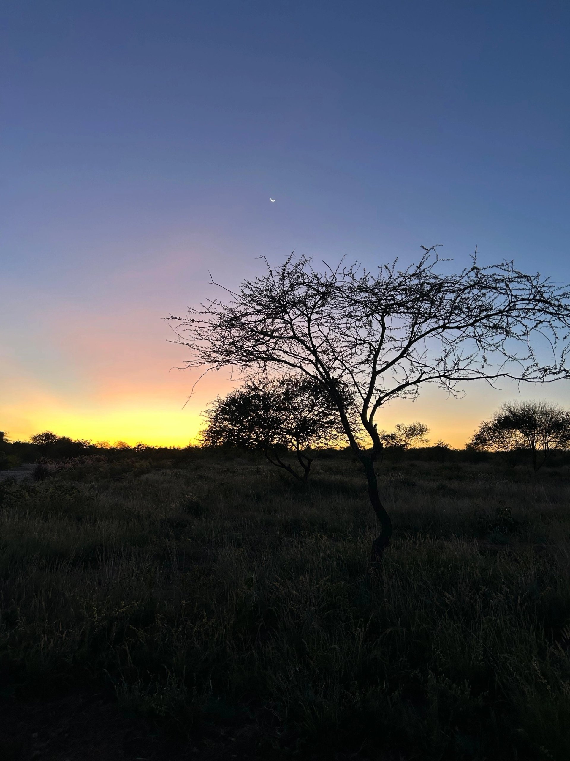 Nanare 2 bedroom chalet — Amboseli, Kenya
