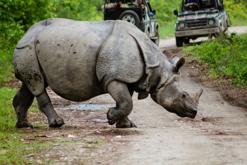 Assam & Meghalaya gallery 5