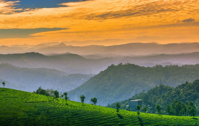 Kerala gallery 0