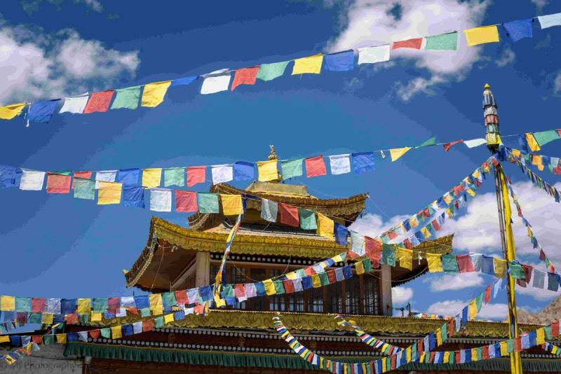 Leh Ladakh (Leisure) gallery 8