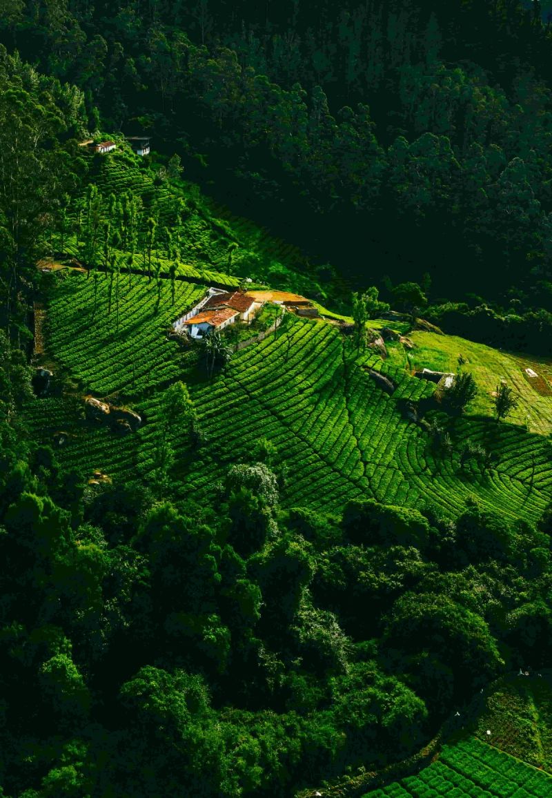 Karnataka Tour Packages gallery 4