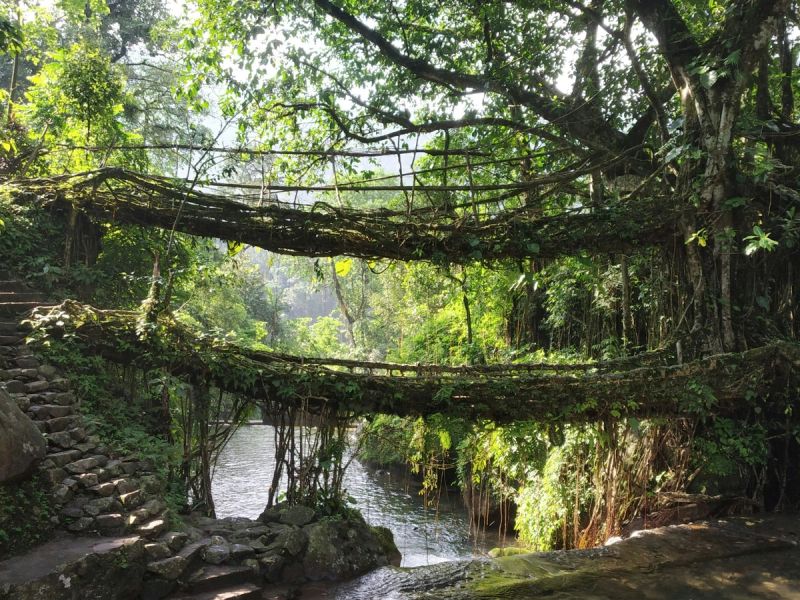 Assam & Meghalaya gallery 7