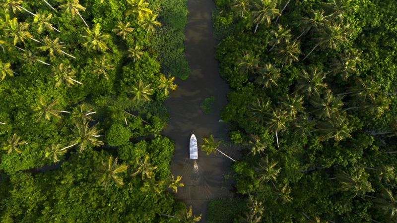 Kerala gallery 1