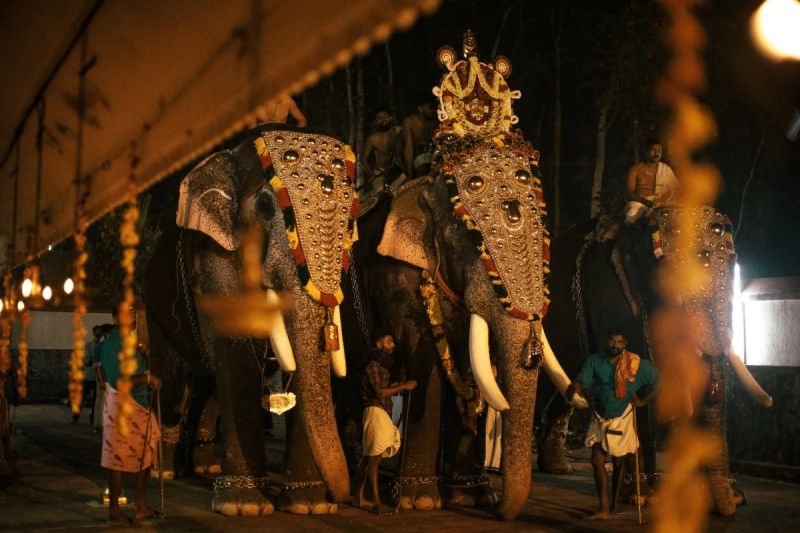 Kerala gallery 8