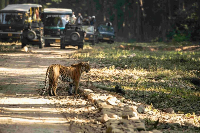 Uttarakhand Tour Packages gallery 7