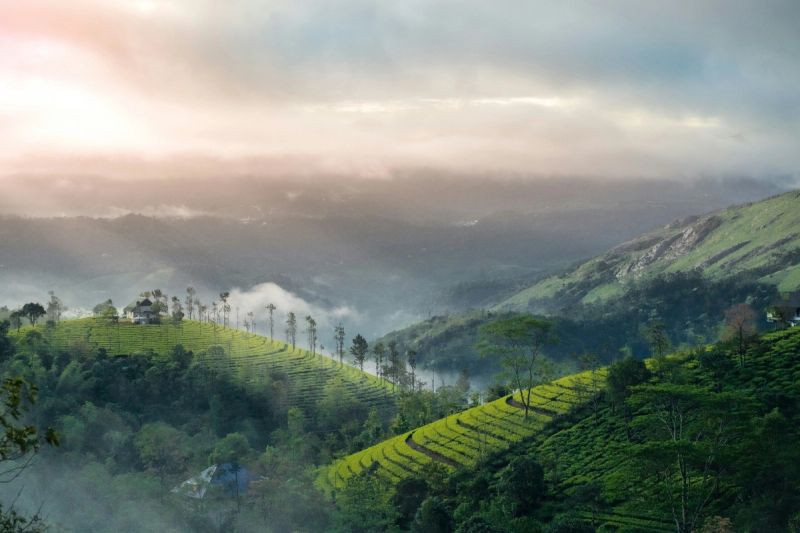 Kerala gallery 11