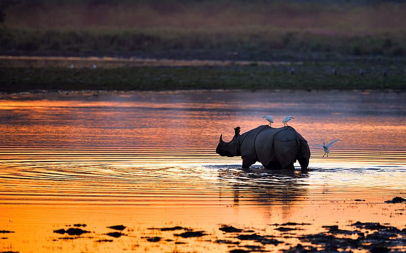 Assam + Meghalaya