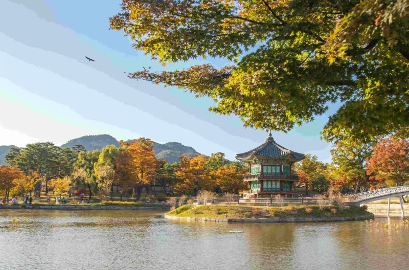 Japan Korea 8D | 3 Add Ons gallery 7