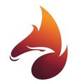 Feenix Partners