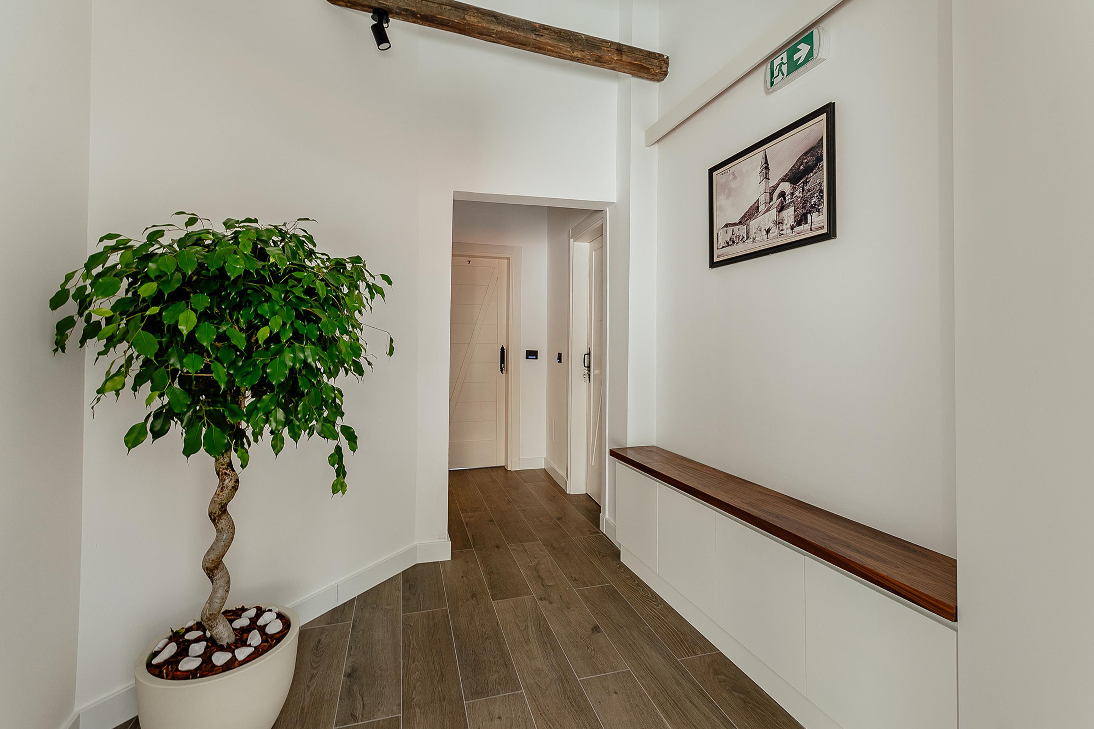 Junior Suite 8