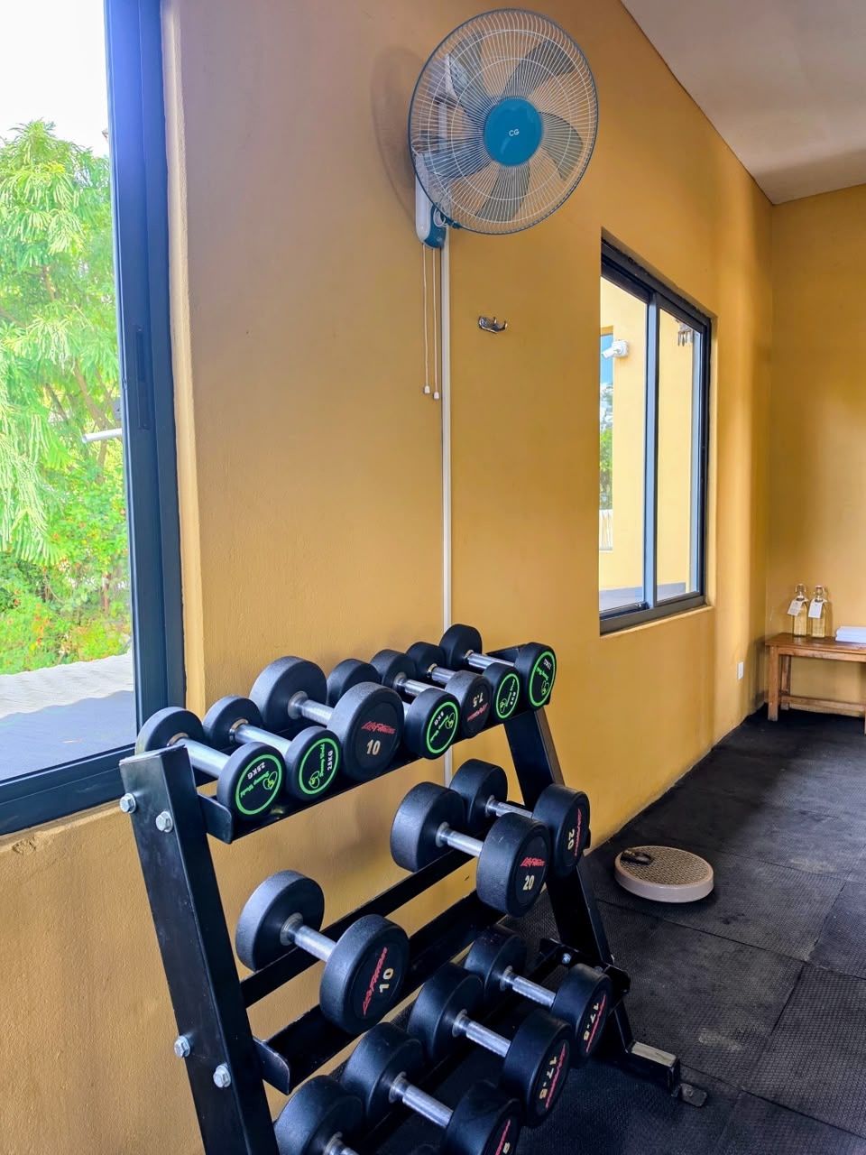 The dumbbell rack under the window